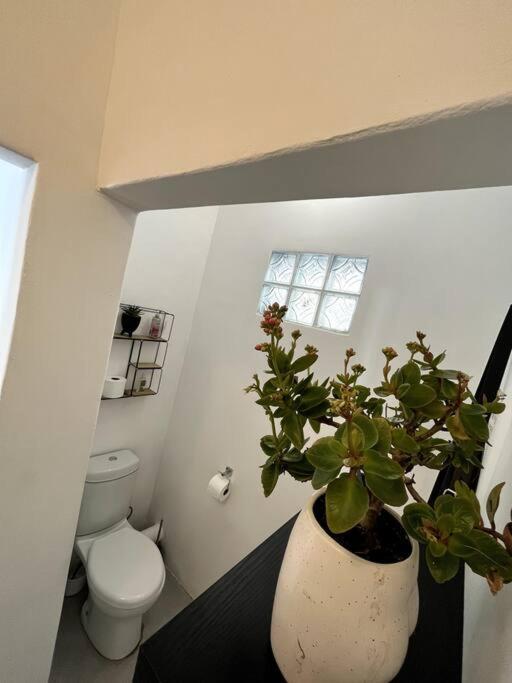 Vakantiehuis Cosy Harcourt *